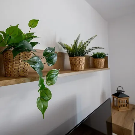 At Bandurskiego Nowoczesny Darmowy Parking Blisko Centrum *