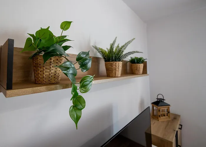 At Bandurskiego Nowoczesny Darmowy Parking Blisko Centrum *