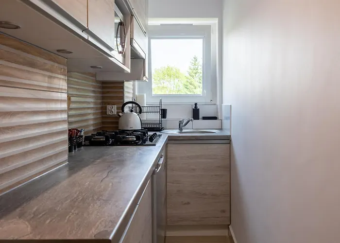 At Bandurskiego Nowoczesny Darmowy Parking Blisko Centrum 아파트 *